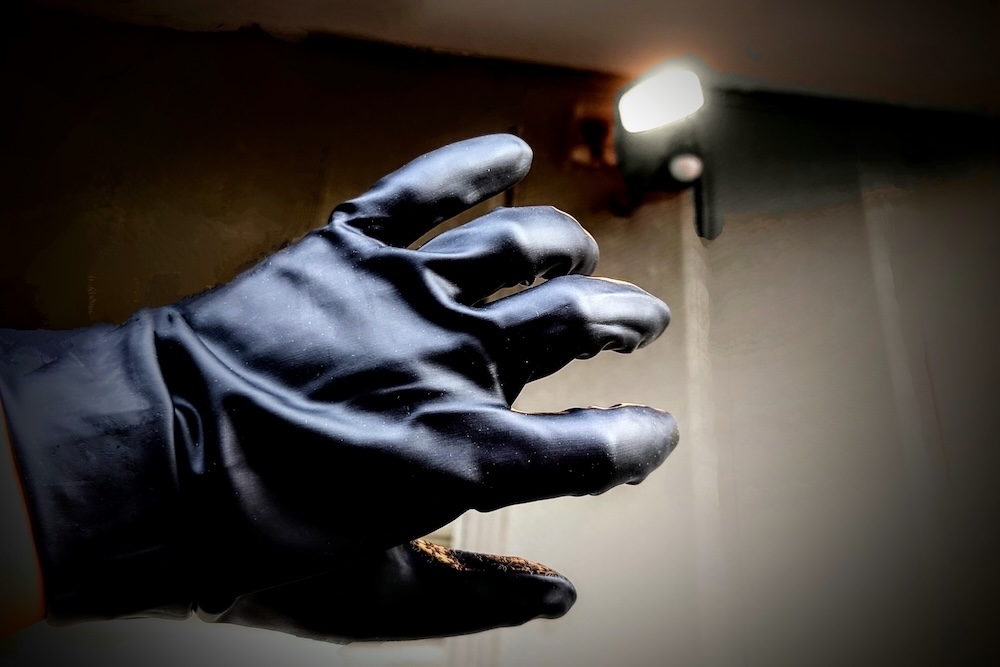 センサーライトを嫌がる手