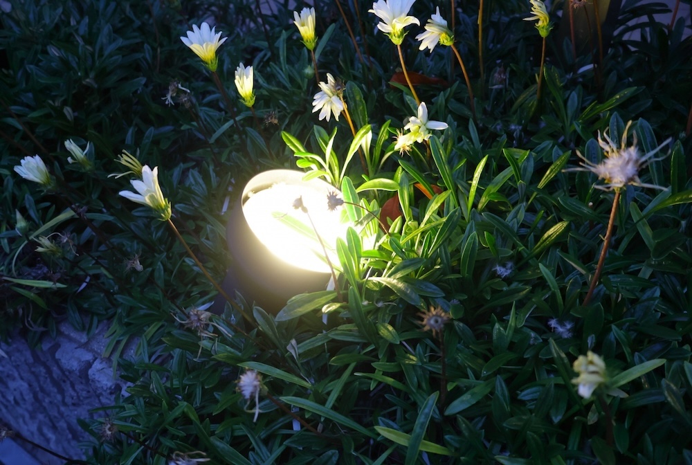庭のセンサーライト