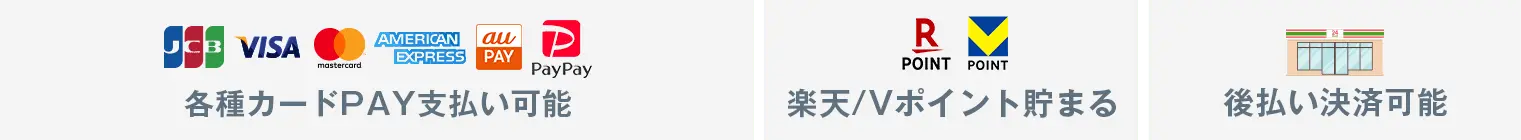 各種カードPAY支払い可能 楽天/Vポイント貯まる 後払い決済可能